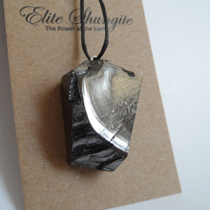 Noble (Elite) Shungite pendant