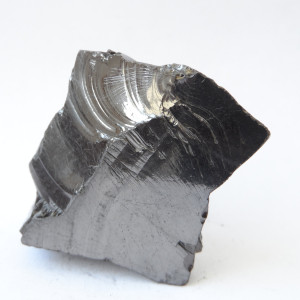 Elite Shungite stone