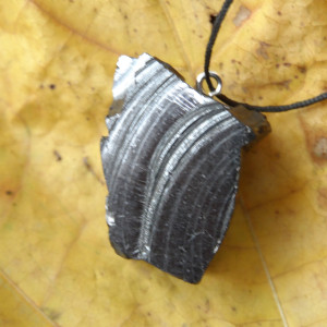 Noble (Elite) Shungite pendant