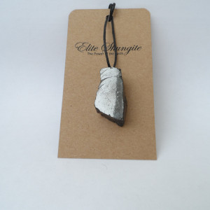 Noble (Elite) Shungite pendant