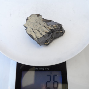 Elite Shungite stone