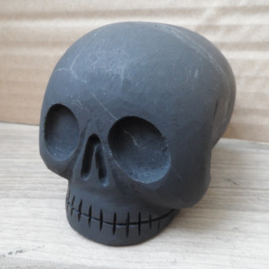 Shungite Skull