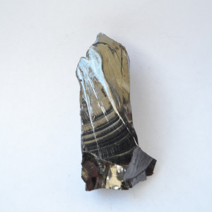 Elite Shungite stone